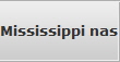 Mississippi nas Data Recovery