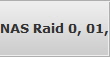 NAS Raid 0, 01, 10 Data Recovery 