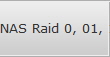 NAS Raid 0, 01, 10 Data Recovery 